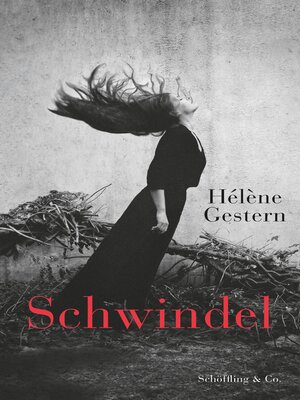 cover image of Schwindel